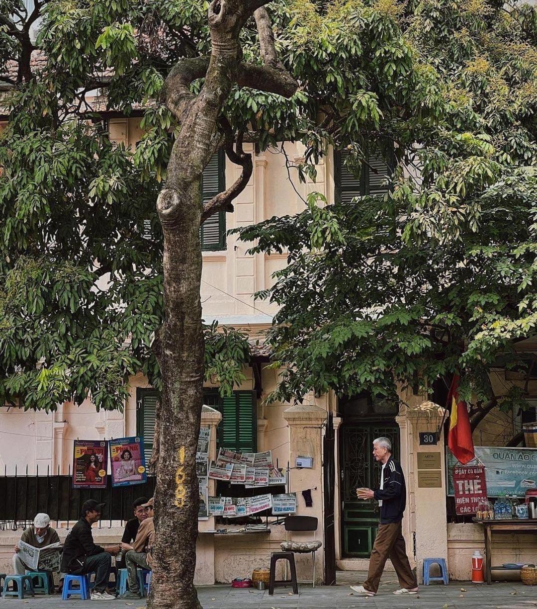 Tropical Land Little Hanoi Homestay Exterior photo
